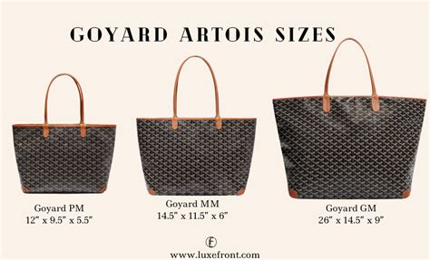 goyard artois mm vs gm